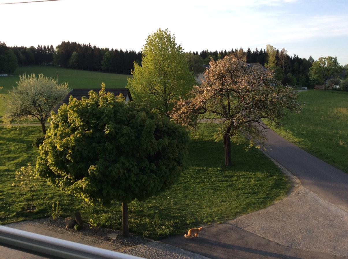 HelfenbergFerienbauernhof Koller别墅 外观 照片