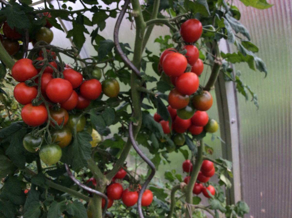 HelfenbergFerienbauernhof Koller别墅 外观 照片