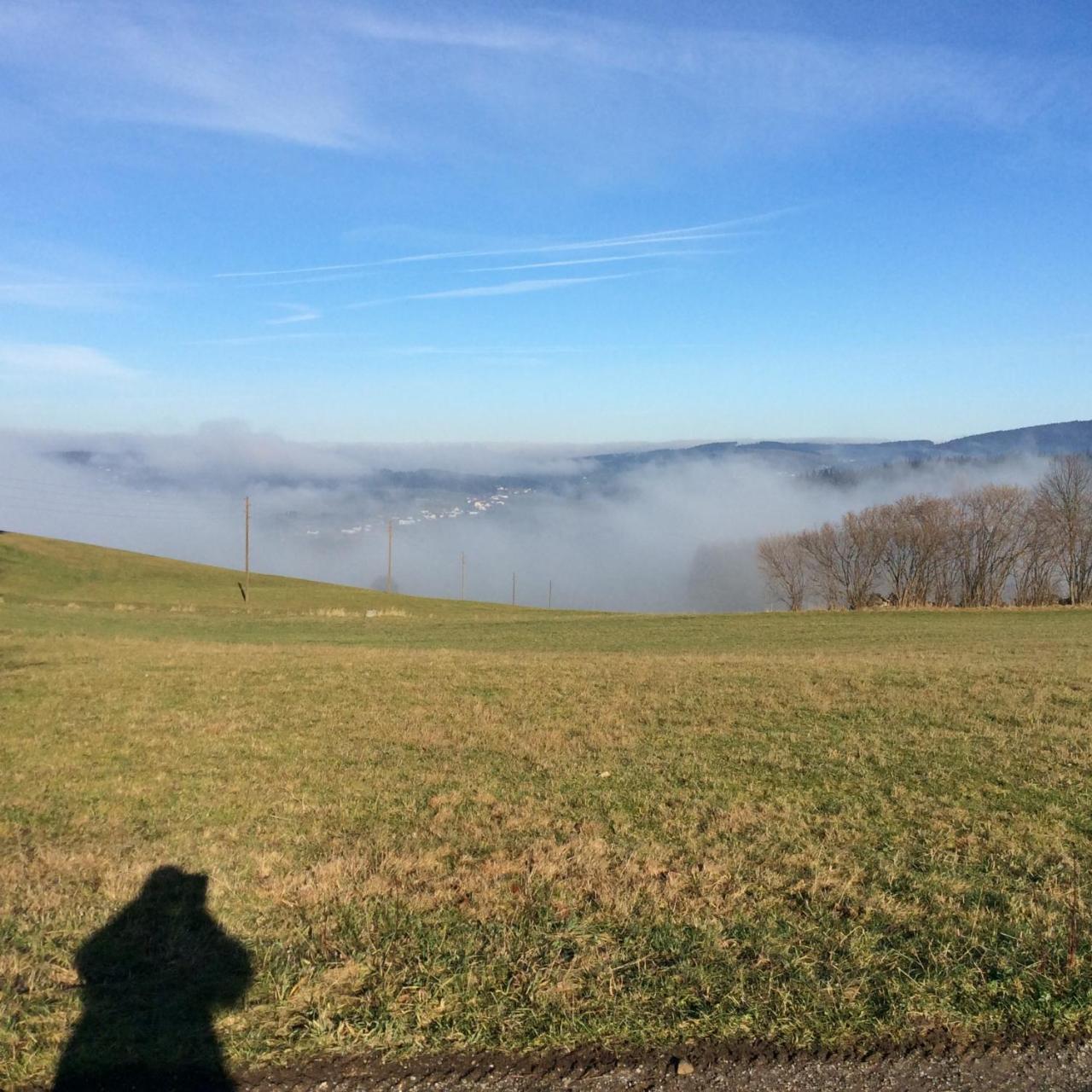 HelfenbergFerienbauernhof Koller别墅 外观 照片