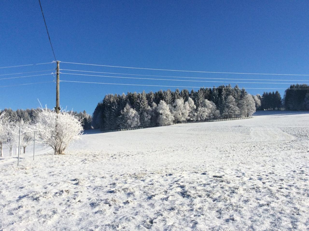 HelfenbergFerienbauernhof Koller别墅 外观 照片